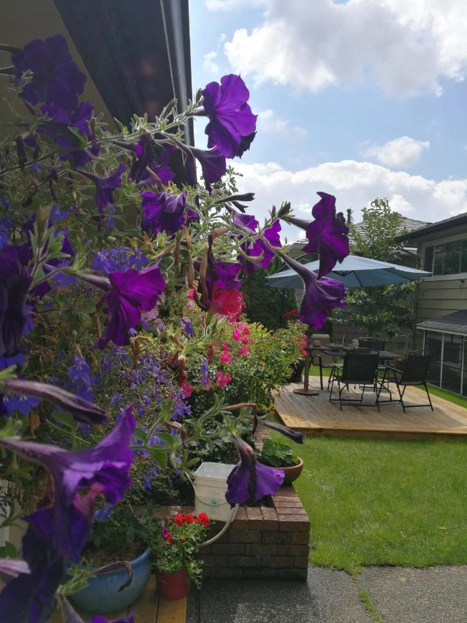 Romantic Homestay 코퀴틀람 외부 사진